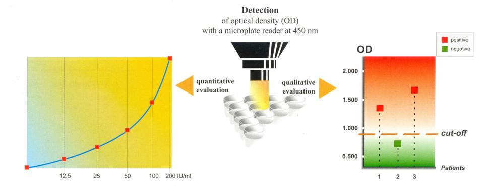 Stanovení optické density hodnocení: fotometricky čím intenzita