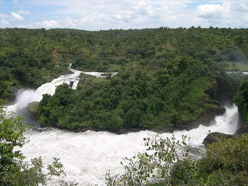 Suchý tropický les - Východní Afrika,