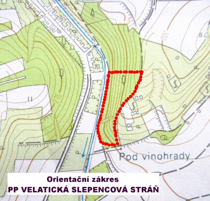 103 VELATICKÁ STRÁŇ Přírodní památka Velatická slepencová stáň v kat.