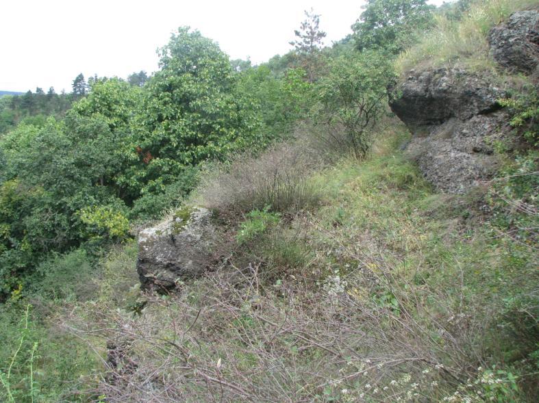 Zvláště pro svahy druhého hřbetu od jihu jsou typické a jejich přičiněním patří tyto partie k nejmalebnějším nejen v rámci tohoto chráněného území.