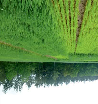 Od roku 2006 je organizace AZZP (včetně hodnocení výsledků) zajišťována prostřednictvím LPIS geografického informačního systému evidence a využití zemědělské půdy,