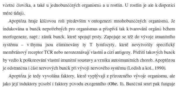 Správné kladení citací Přehled literatury a její citace v textu - citlivé kladení citací tedy tam, kam patří = jakmile je zmíněn poznatek uvedený v nějakém článku, nejpozději na konci věty se uvádí