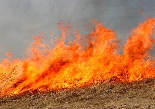 Upozornění Zákaz vypalování trávy podle zákona č. 203/1994 Sb. o požární ochraně. Vypalování je kvalifikováno jako přestupek, za který podle Ą 78, odstavce 1 písm. r) lze uložit pokutu do výše 15.