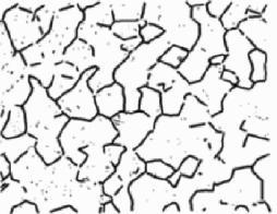 13 Mikrostruktura a) α-slitiny; b) β-slitiny [4] Přítomnost některých prvků ovlivňuje velikost oblastí výskytu fází α a β: hliník Al stabilizuje α-fázi, čímţ zvyšuje transformační teplotu α na β