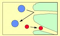 Klasifikace chromatografických metod - Podle separačního mechanismu Gelová permeační chromatografie umožňuje dělit molekuly podle jejich velikosti a tvaru SF = gelové částice kulovitého tvaru (na