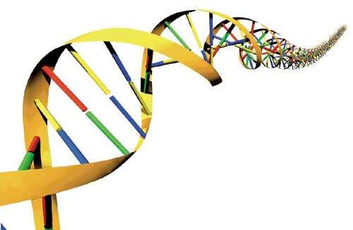 koncentrace iontů snižuje specifitu PCR. U primerů bohatých na G a C báze je ale použití vyšší koncentrace Mg 2+ vhodnější. Pufr pro PCR vytváří optimální prostředí pro DNA-polymerasu.