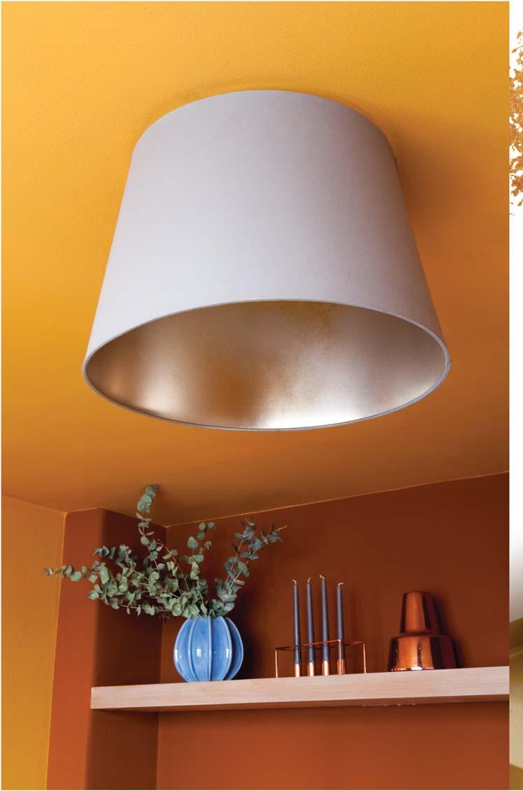 Spreje Stříbrnou nebo zlatou barvu pak lze použít k rozzáření třeba i jinak nudného s nidla na strop.