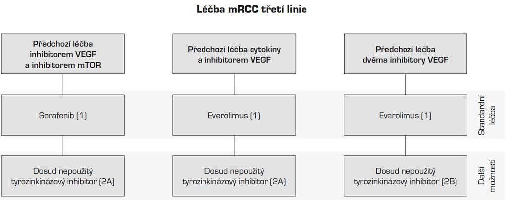 Preparáty biologické léčby: - interferon alfa - sunitinib* - sorafenib* - pazopanib* - bevacizumab* - temsirolimus* - everolimus* - axitinib* Preparáty biologické léčby(*) může podávat pouze KOC