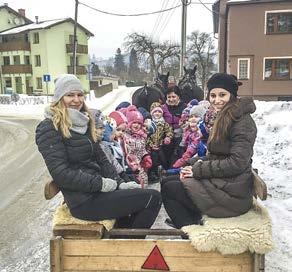 Při těžbě dřeva nechali těžaři v půdě hluboké koleje. Některé z nich byly až 70 centimetrů hluboké.