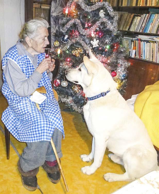 31. LEDNA 2017 STRANA 7 Matka a dcera? Jsou rozdílné jako voda a oheň V hrudích obou žen tepe laskavé srdce NÝDEK V té dřevěnce je to stále stejné. Skromné.