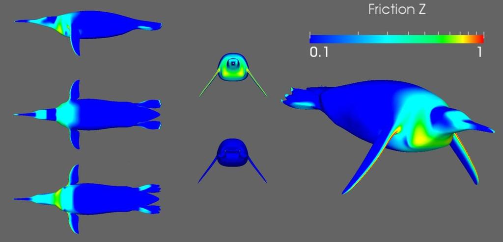 4.2.4.2.2.3. Způsob pohybu ve vodě, anatomické odlišnosti Plavou rychlostí téměř 15 km/h (Gaisler a Zima; 2007).