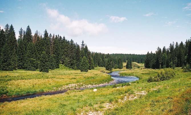 Výroční hodnotící zpráva programu HRDP ČR za rok 2008 Nejvíce finančních prostředků směřovalo do podopatření Ošetřování travních porostů, kde bylo zažádáno o cca 1,415 mld.