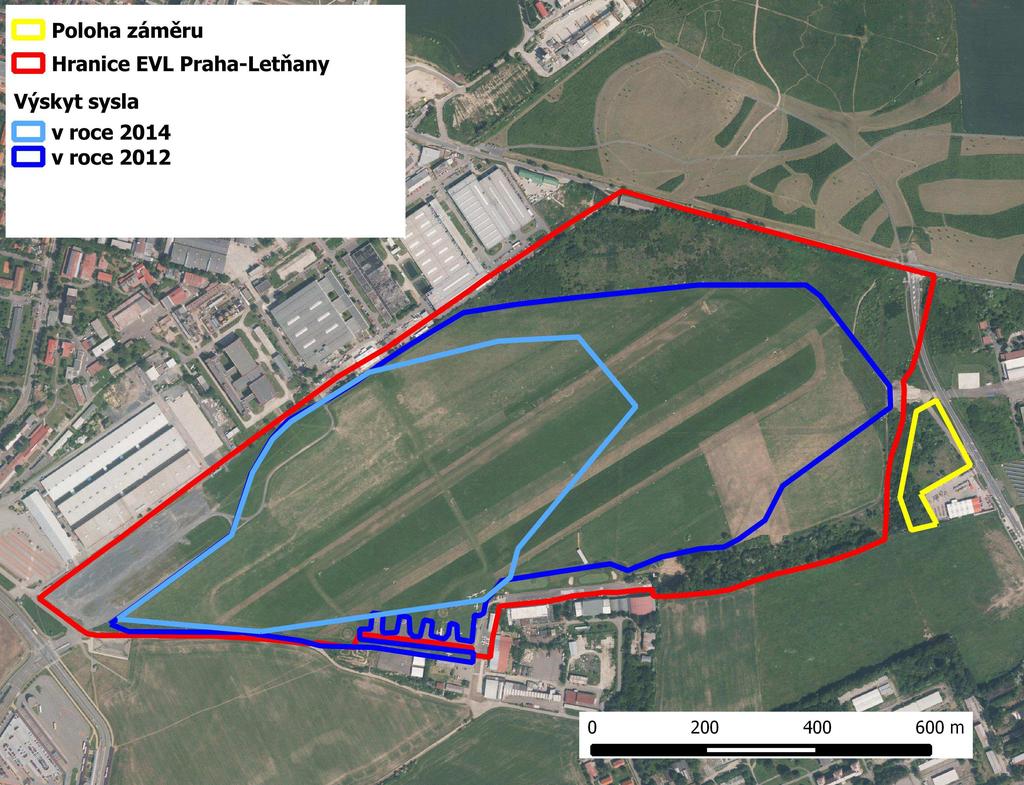 Populace sysla obecného na letňanském sportovním letišti byla objevena v roce 2000, kdy zde žilo asi 250 jedinců.