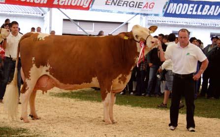 července 2005 měla nejvyšší druhou laktaci, na které nadojila 9 060 kg mléka s 3,98 % tuku a 3,45 % bílkovin. Na třetím místě skončila kráva ze Zemědělského družstva Rodvínov.