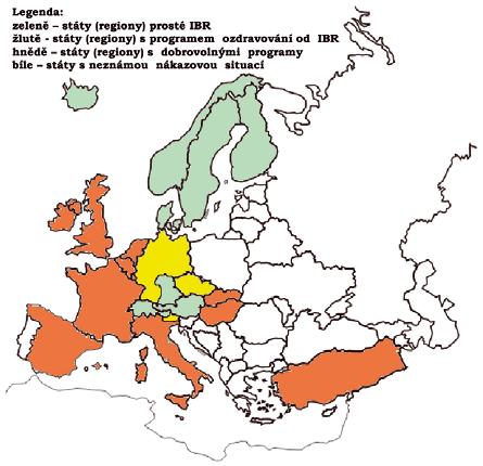 Výsledky IBR šlechtitelského - ozdravovací programu K 30. 6. 2011 uplynulo v České republice pět a půl roku od zahájení Národního ozdravovacího programu od IBR.