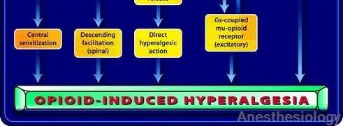 Hyperalgesia: Its Clinical Importance