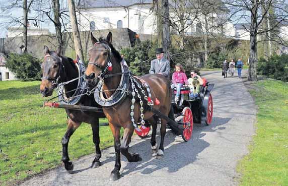 Spolupracuje s obdobnými spolky především na Slovensku a v Polsku a vzájemně se navštěvují tímto způsobem reprezentuje i naši obec, hodnotí aktivity krojovaných horníku Vavřík.