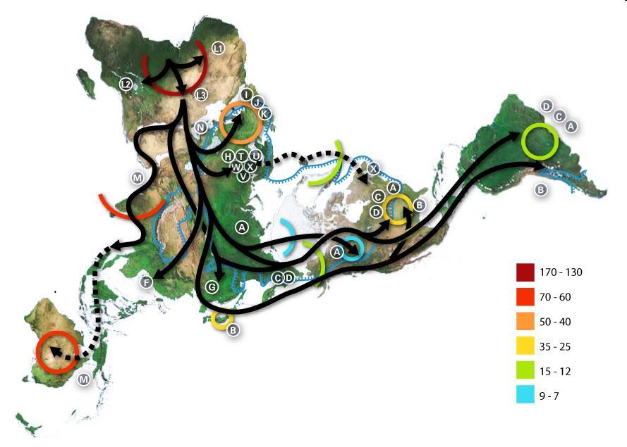 Mapa migrací