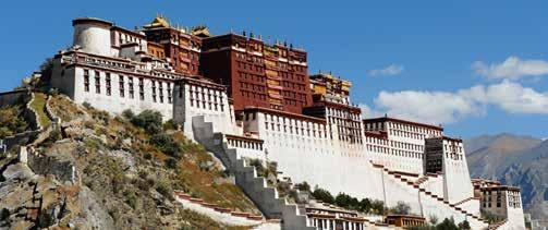 Tibetští lékaři vyvinuli rozsáhlý a účinný systém zdravotní péče pomocí bylinných přípravků a nejrůznějších alternativních postupů, které se postupně rozšířily do Bhútánu a himálajských oblastí