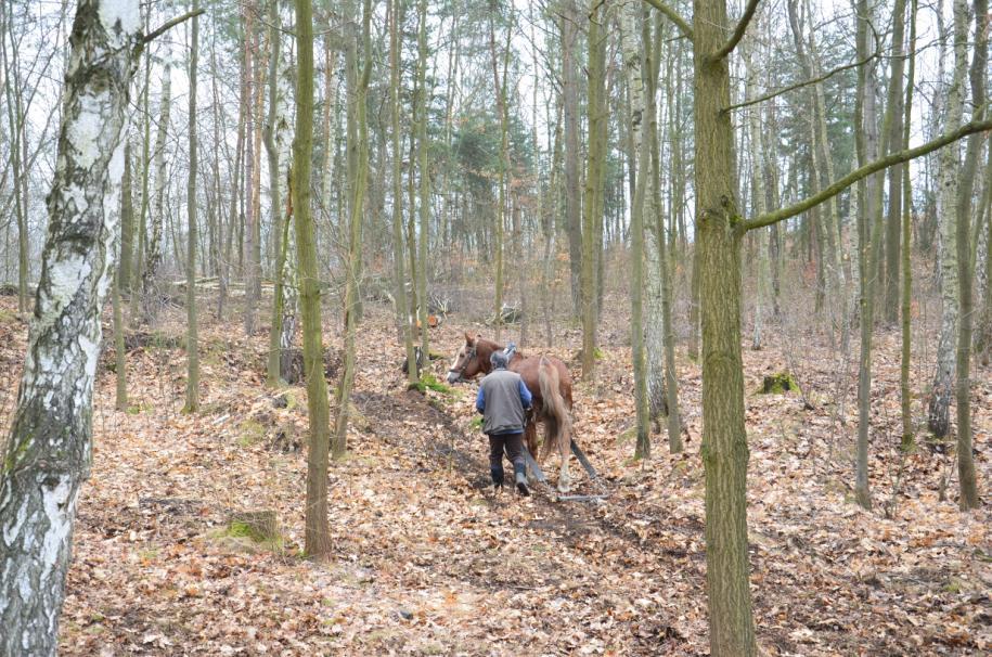 Archeologická památková rezervace Tašovice (významná polykulturní lokalita) - Dělením parcel