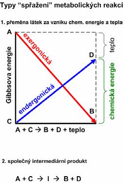 energie systému zůstává konstantní (= zákon zachování energie) uvnitř systému se energie nemůže ztratit ani vytvořit, může však být přenesena z jedné formy na jinou (např.