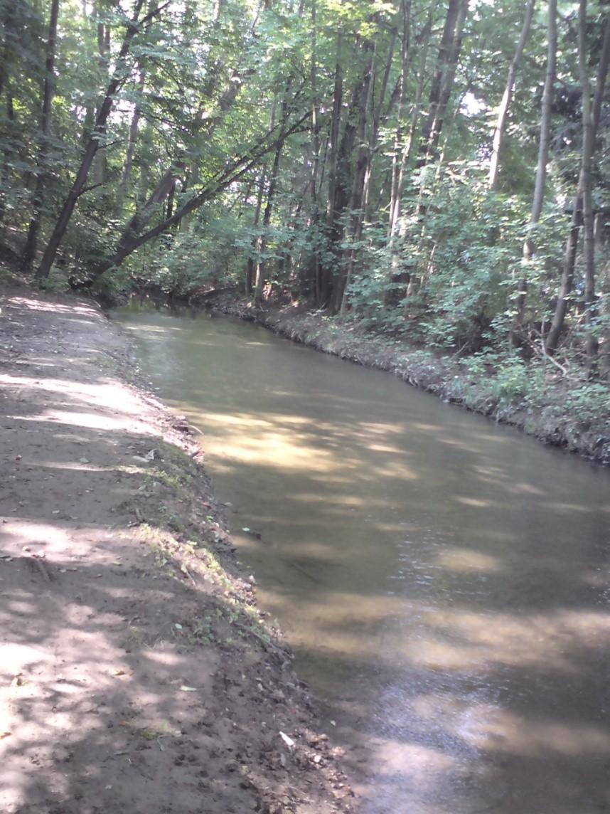 Krejčová, foceno 29. 6. 2011 Obrázek č.