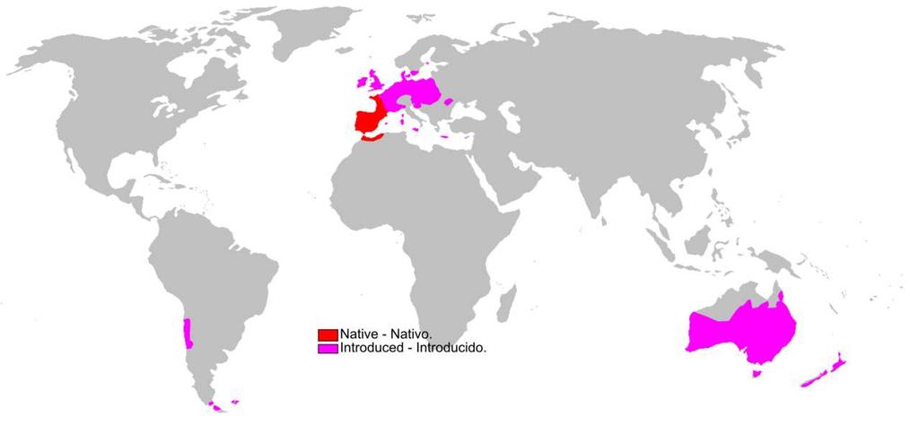 Žije v jižní, střední a částečně i severní