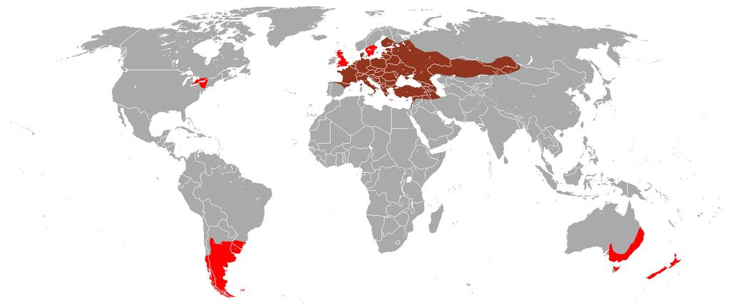 Obývá téměř celou Evropu; na severu se vyskytuje až v jižní Skandinávii, má