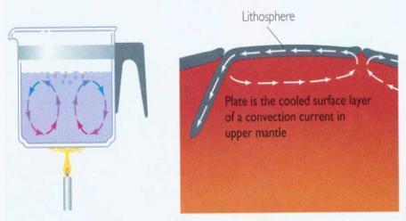 v astenosféře dochází ke konvekčnímu proudění, které je jednou z podmínek deskové tektoniky b) spodní plášť oddělen od svrchní pláště