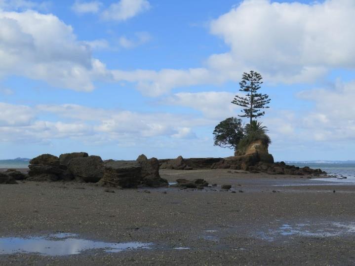 Vypadalo to, jako když jeden z nich do toho majáku narazí. Z Manukau Heads jsme jeli do parku Awhitu regional Park. Tam jsme šli na asi 3 hodinovou procházku. Nejdříve jsme šli po pláži, potom lesem.