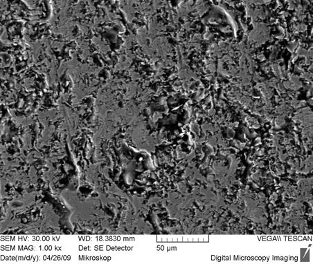 6.4.3 Reálný renovovaný povrch Obr. 6.4.3 Povrch s nástřikem 1000x Na uvedené mikroskopické fotografii povrchu je jasně patrná pórovitost povrchu nastříkaného povlaku.