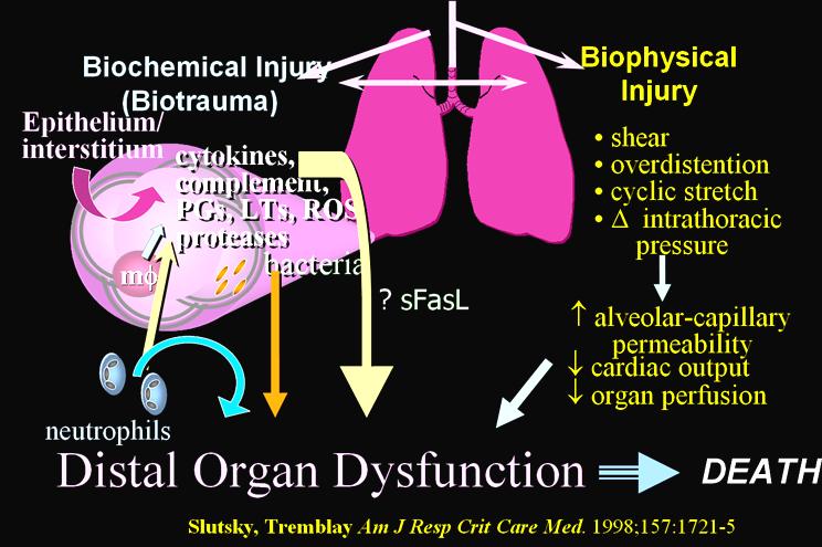 BAROTRAUMA, VOLUMOTRAUMA, BIOTRAUMA Consensus conference on mechanical ventilation, 1993 omezení plato