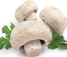 Kokos strouhaný 150 g ( = 10,60 Kč) Horká čokoláda