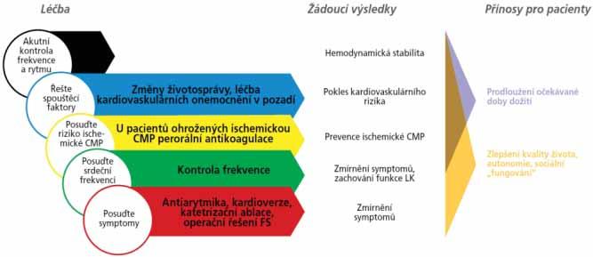 FRLCE SÍNÍ - PRVNÍ VYDÁNÍ 2017 Při prvním vyšetření pacienta a v jeho dalším sledování by mělo být posuzováno pět aspektů (obrázek č. 1). Obrázek č. 1 7.