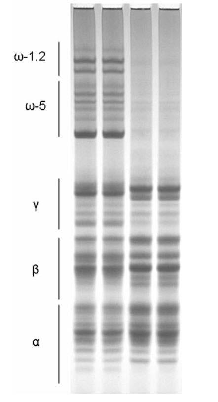 Obr. 5: RP-HPLC gliadinů podle [60]. Obr.