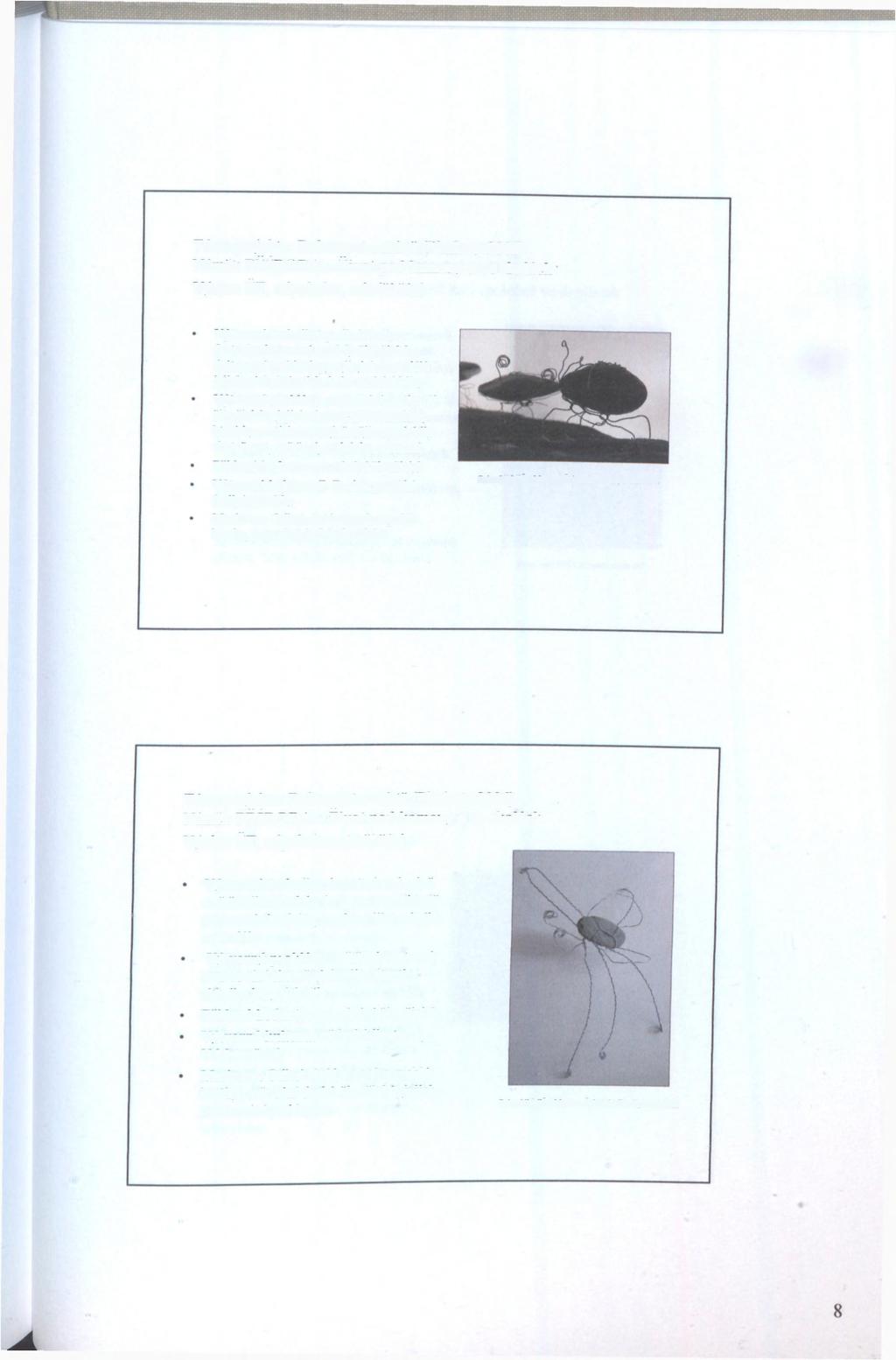 Téma projektu: Dokument o místě (Pleskoty 2006) Námět: PŘÍRODA - Život pod kameny a ve skalách Výuka: ČT, odpoledne, mladší žáci Výtvarná technika: podle kreseb a fantazie zhotovené modely živočichů