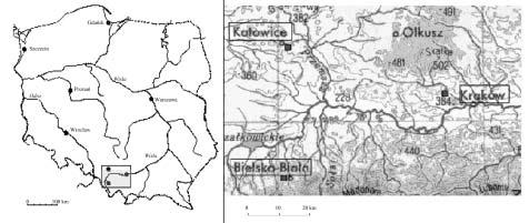 Obr. 1 Zkoumaná oblast. Fig. 1. The area of investigations nice Bielsko-Biała kromě toho je situována mimo město a v konvexním reliéfu přibližně 40 m nad městem.