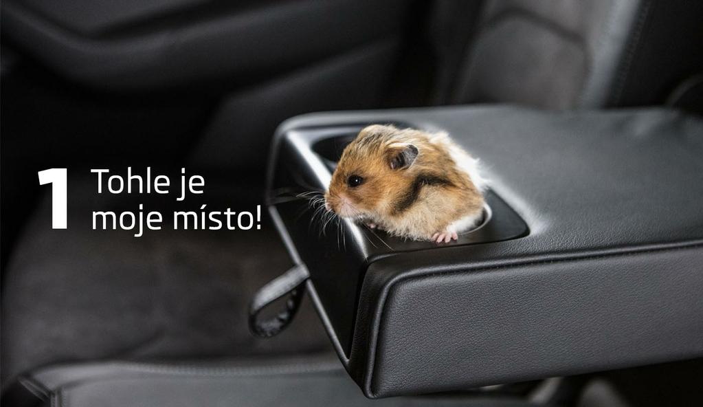 Na stálé místo ho naučte a pak už ho pokud možno neměňte.