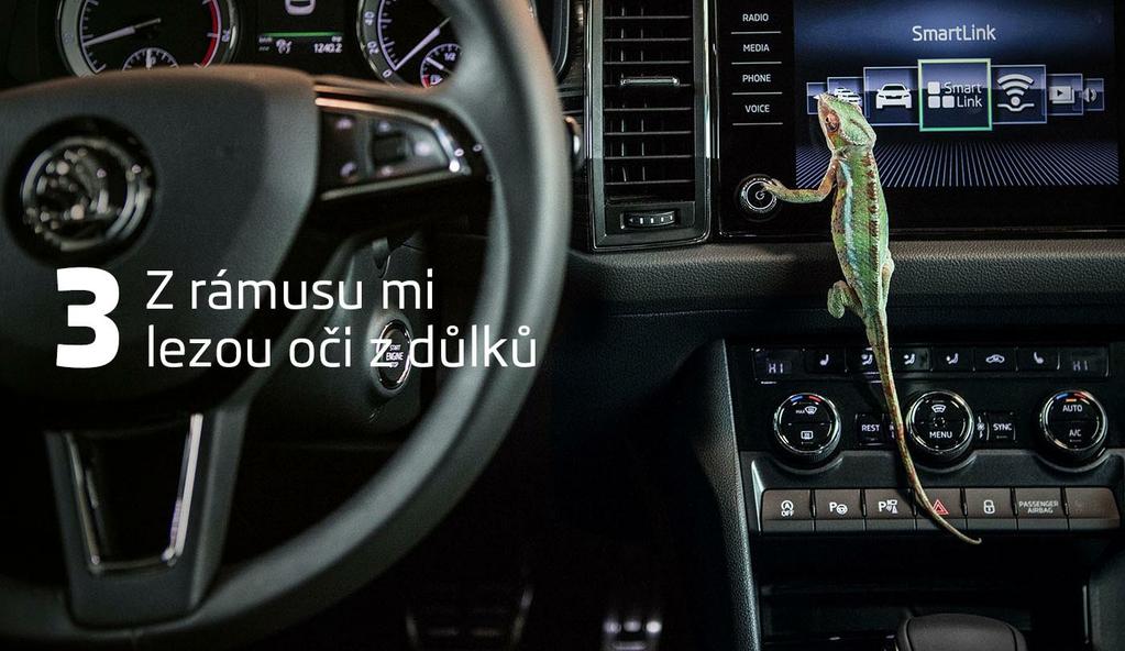 Nejen lidem, ale i zvířatům škodí přílišný hluk. Některé studie například prokázaly výrazně horší sluch u loveckých psů, kteří jsou často vystaveni výstřelům.