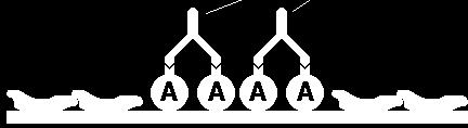 analýza (ELISA)