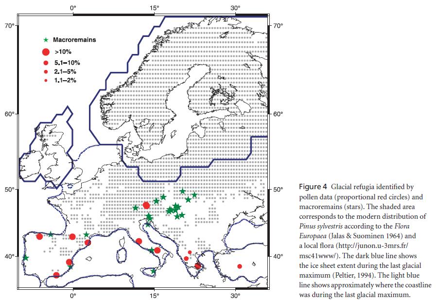 Holocénní rozšíření dřevin ve (střední) Evropě: příklady borovice lesní (Pinus sylvestris) - podle fylogeografických