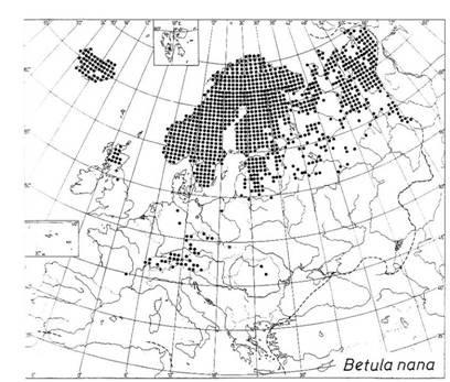 Holocénní rozšíření dřevin ve (střední) Evropě: příklady tehdy dnes