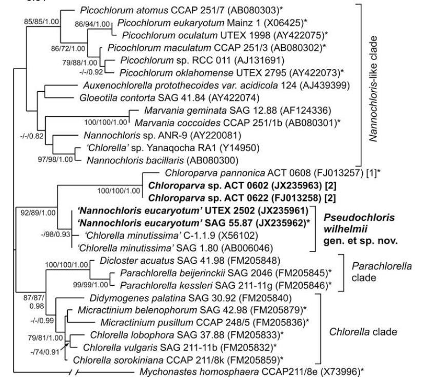 Trebouxiophyceae,