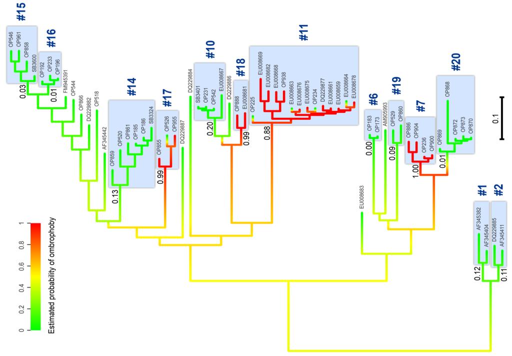 Peksa & Škaloud (2011): Molecular Ecology 20, 3936