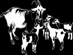 The wolf and the kids Once upon a time, there was a goat family. Father goat, mother goat and their two children little kids. Their home was a meadow at the edge of Happy Village.