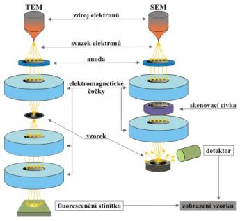 1.2 METODY ELEKTRONOVÉ MIKROSKOPIE Metody elektronové mikroskopie jsou děleny na hlavní dva druhy, prozařovací nebo skenovací.