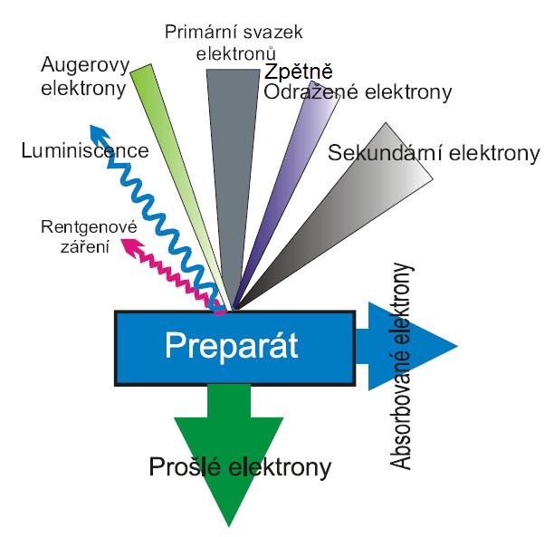 2.4. INTERAKCE ELEKTRONŮ SE VZORKEM A SLEDOVANÉ SIGNÁLY Dopadající (primární) elektrony interakcí se vzorkem vyráží elektrony, některé se samy odrazí a malá část jich je pohlcena nebo projde skrz.