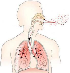 3 Pronikání radonu do objektu nebezpečím pro nás jsou produkty rozpadu radonu (polonium, olovo a bismut) výrazně zvyšuje pravděpodobnost vzniku rakoviny plic (pokud jsme ve