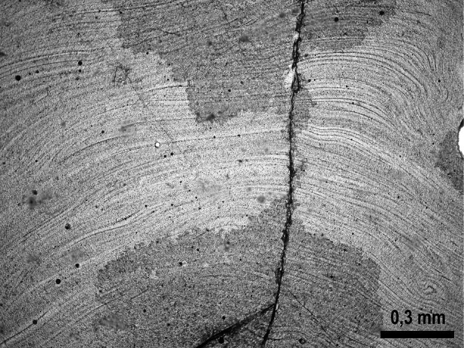 (>1 hmot %), Zn (>1 hmot %) a Ag (>100 ppm) byly v alikvotních dílech práškovaných vzorků analyzovány metodou ICP-OES na Katedře analytické chemie PřF MU v Brně Index viskozity byl vypočten vzorcem