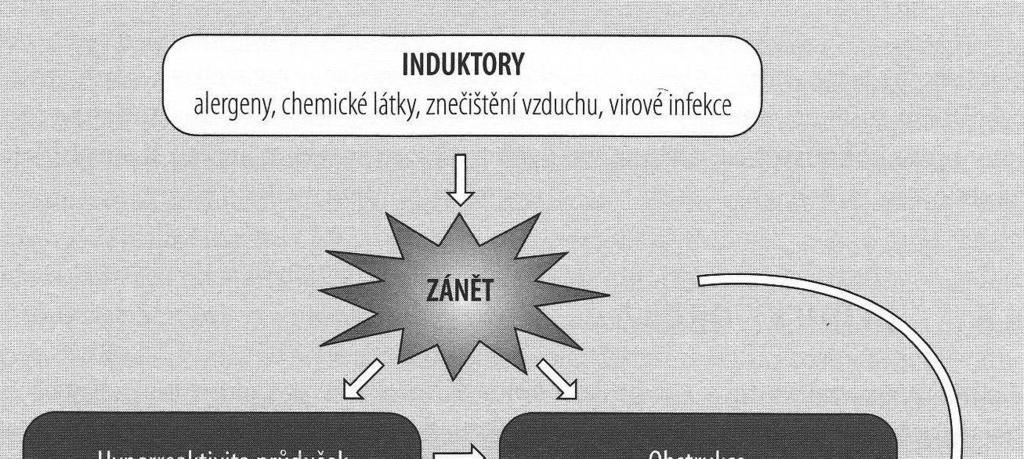 Akutní bronchokonstrikce patří k fyziologickým obranným mechanismům, u astmatu se však objevuje reakce na jinak neškodné podněty (bronchiální hyperreaktivita).